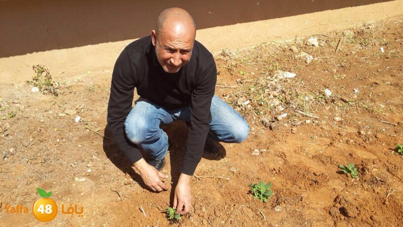 ramla school 0311 (6).jpg